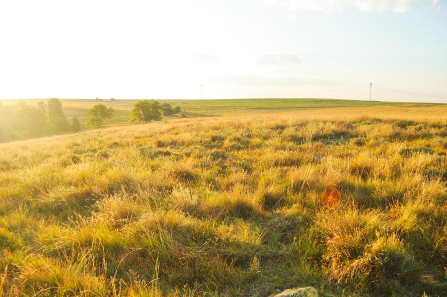 Commercial Property for Sale in Reitz Free State